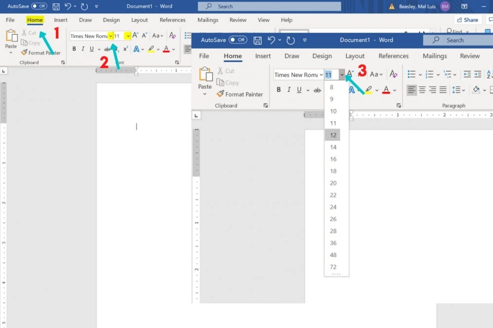 Format Your Essay in MLA Style